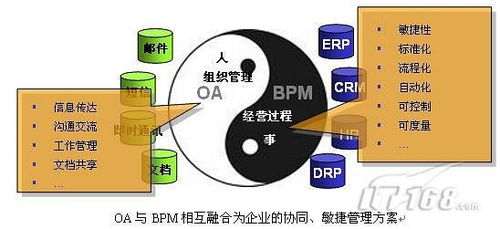 无锡 定制化oa和erp的区别