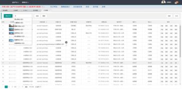 开单大师 zol下载